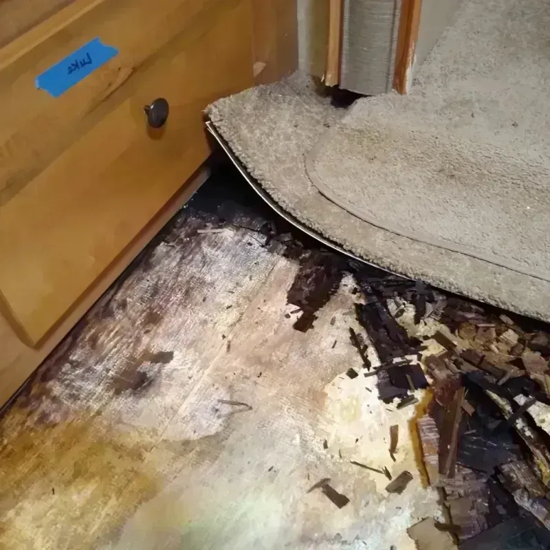 Wood Floor Water Damage in Entiat, WA